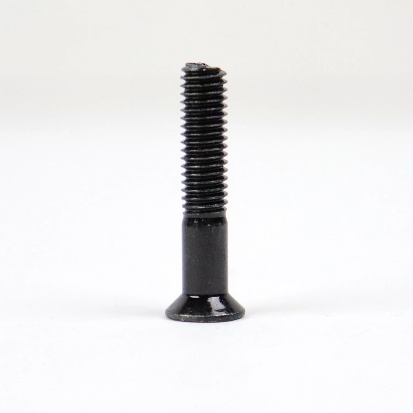 TGM Skateboards Mounting Hardware 1" Phillips Nuts and Bolts